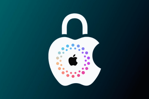 APPLE ACTIVATION STATUS
